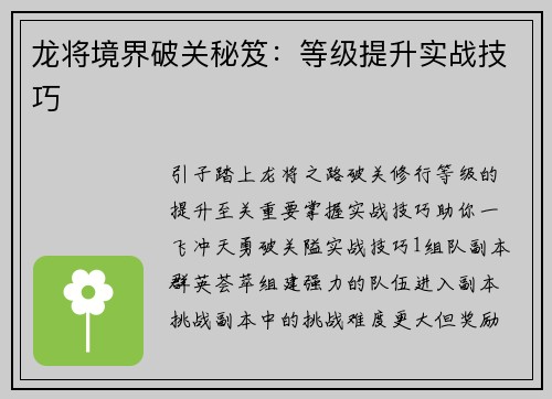 龙将境界破关秘笈：等级提升实战技巧